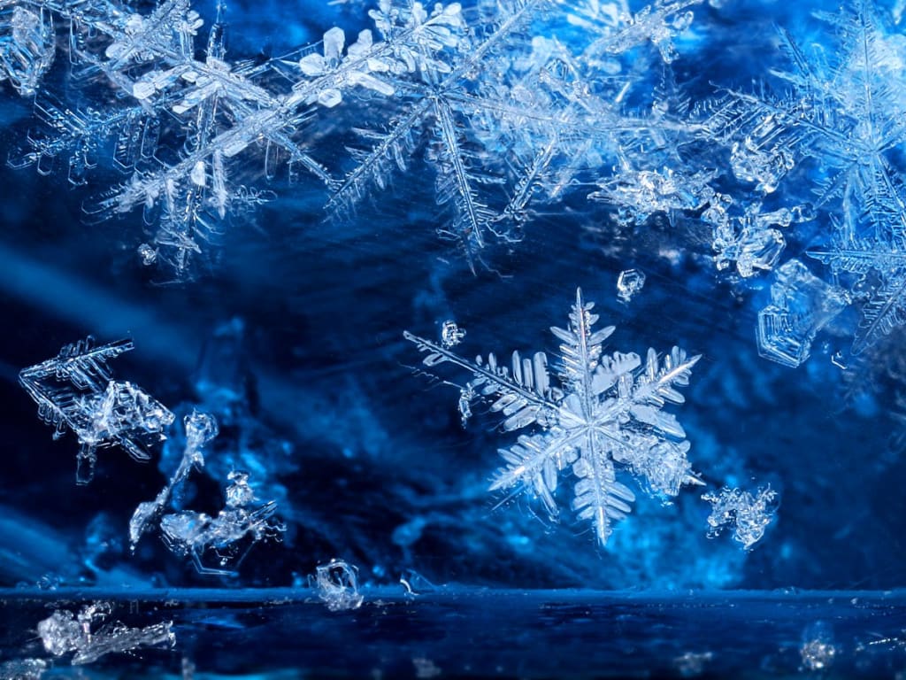 The Winter Prince The Winter Prince