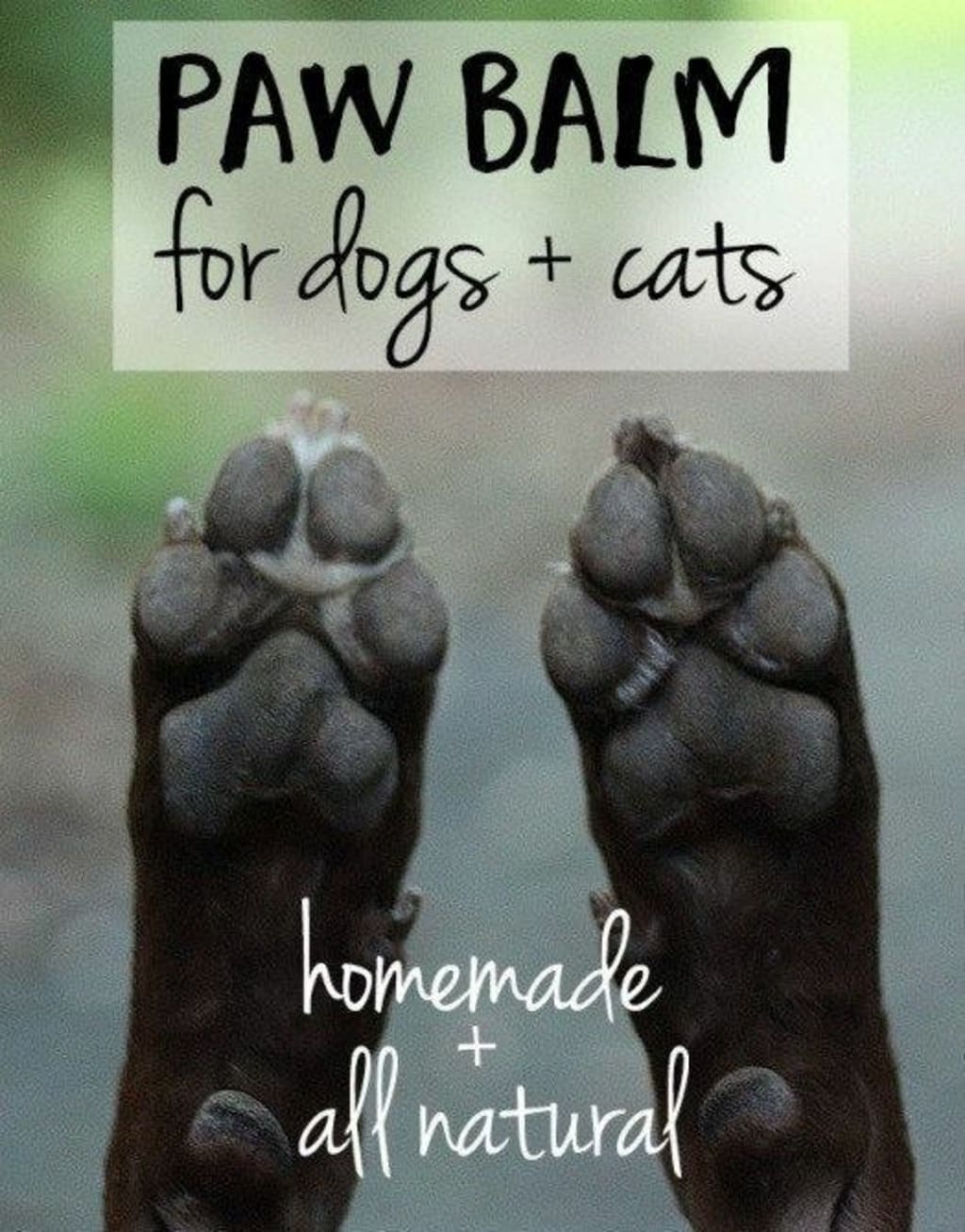 Pet Paw Balm Pet Paw Balm