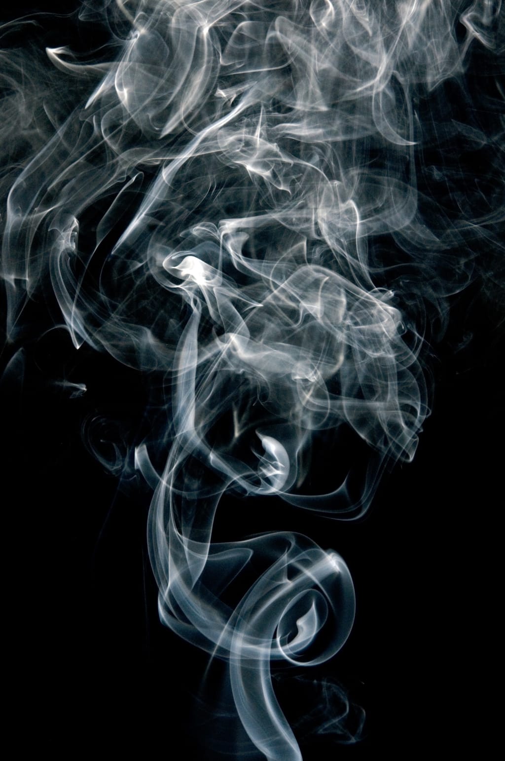 Stoner's Unite Stoner's Unite