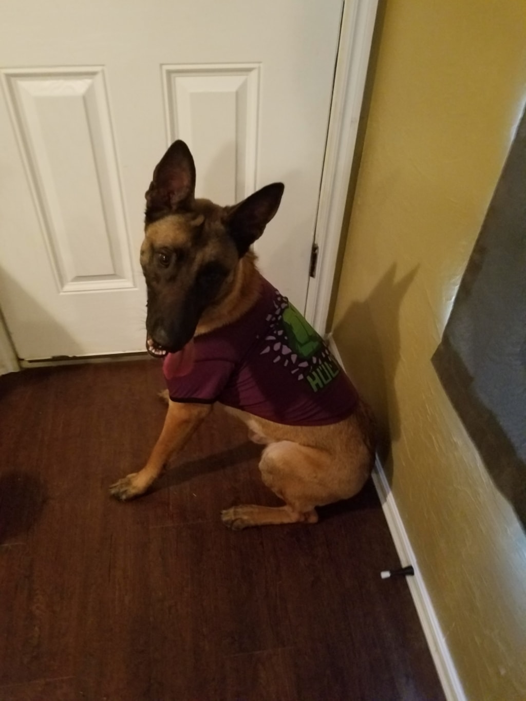 Maligator Momma Maligator Momma