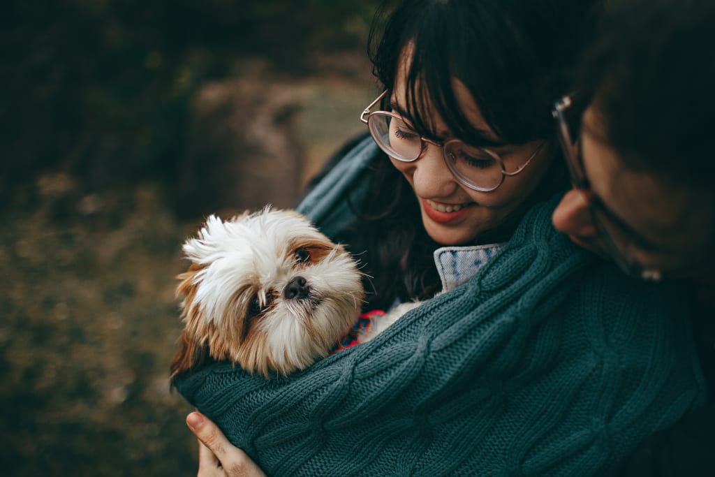 10 Tips for Taking Care of a New Pet 10 Tips for Taking Care of a New Pet