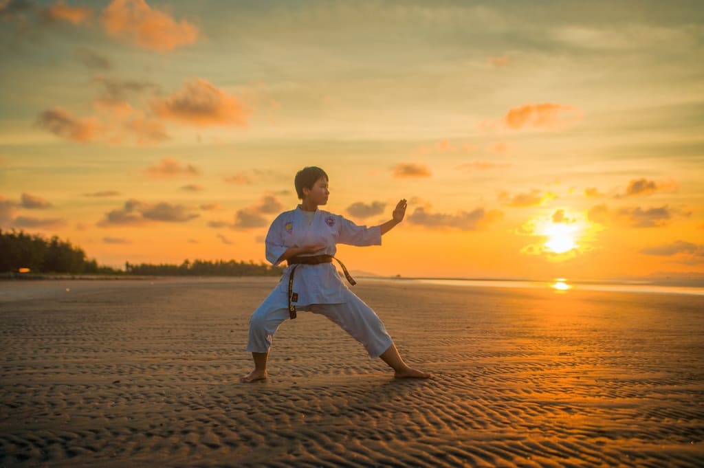 Why I Studied Martial Arts Why I Studied Martial Arts