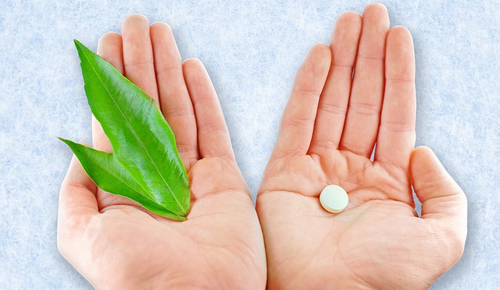 Benefits of the medecinal mushroom Benefits of the medecinal mushroom
