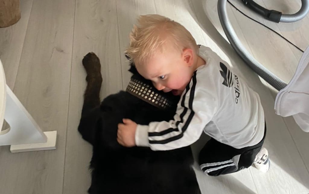 Is the Dog Doing the Whispering Here? Is the Dog Doing the Whispering Here?