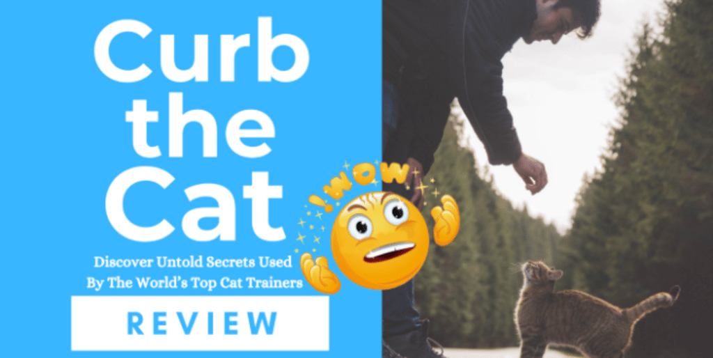 Curb the Cat Review — How to Train a Cat to Sit, Fetch, Potty, and lots more Curb the Cat Review — How to Train a Cat to Sit, Fetch, Potty, and lots more