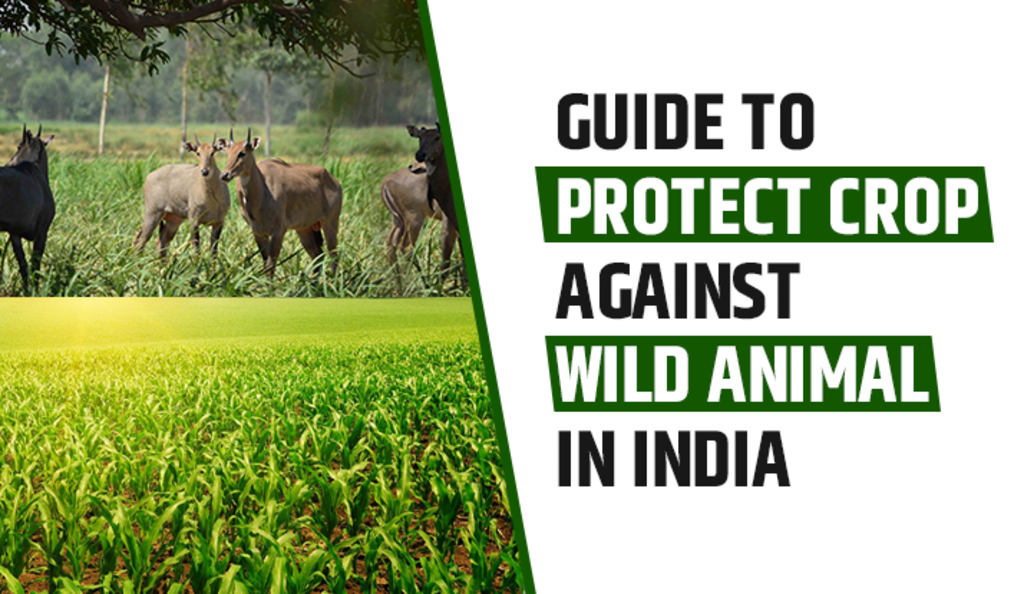 Guide to protect the crop against Wild Animal in India Journal