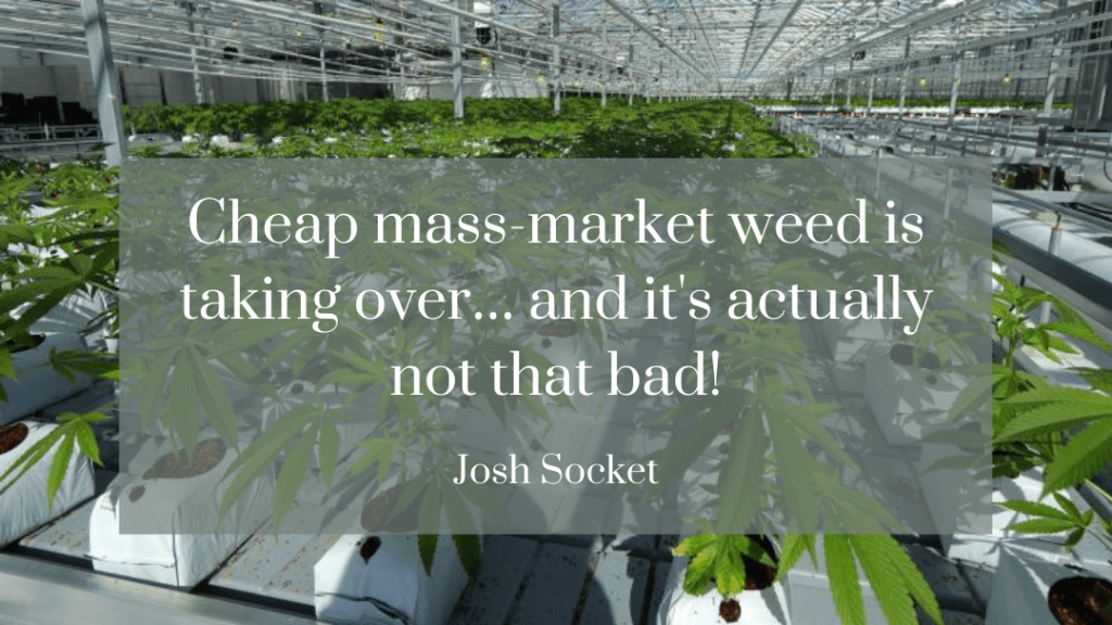 Cheap mass-market weed is taking over… and it's actually not that bad! Cheap mass-market weed is taking over… and it's actually not that bad!