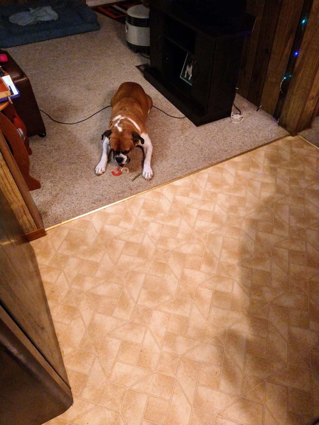 Shiloh Shiloh