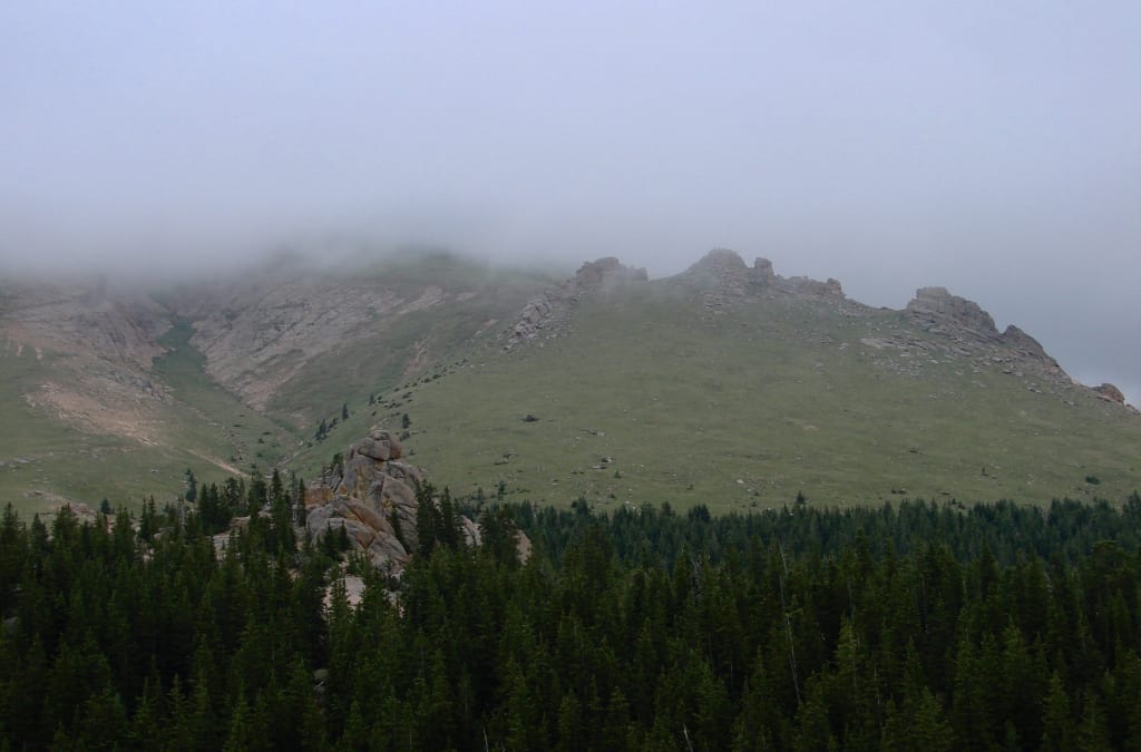 Silent Wild Silent Wild