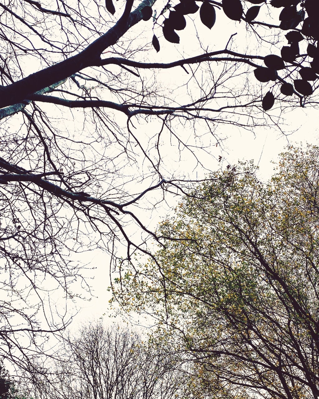 A cozy nomadic dream. A cozy nomadic dream.