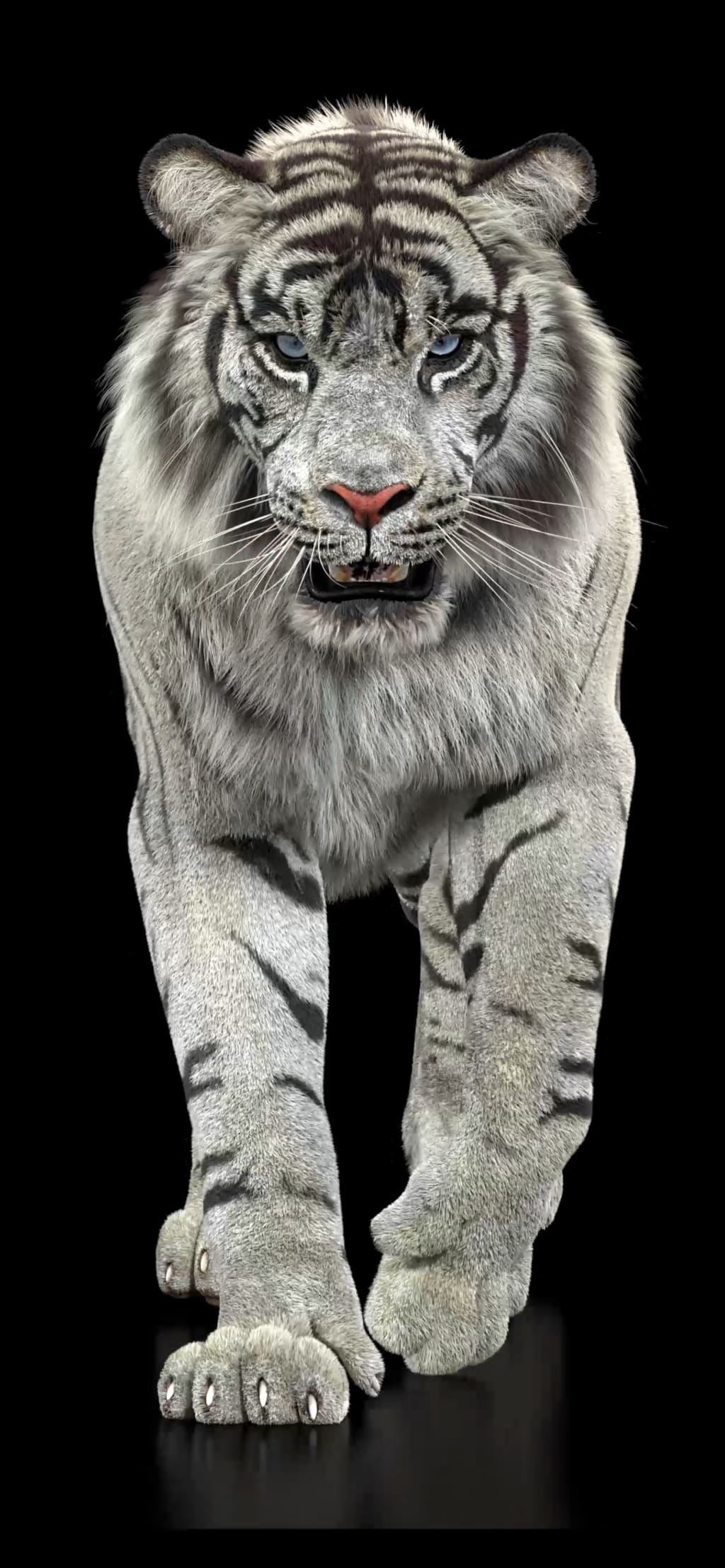 My strength My strength