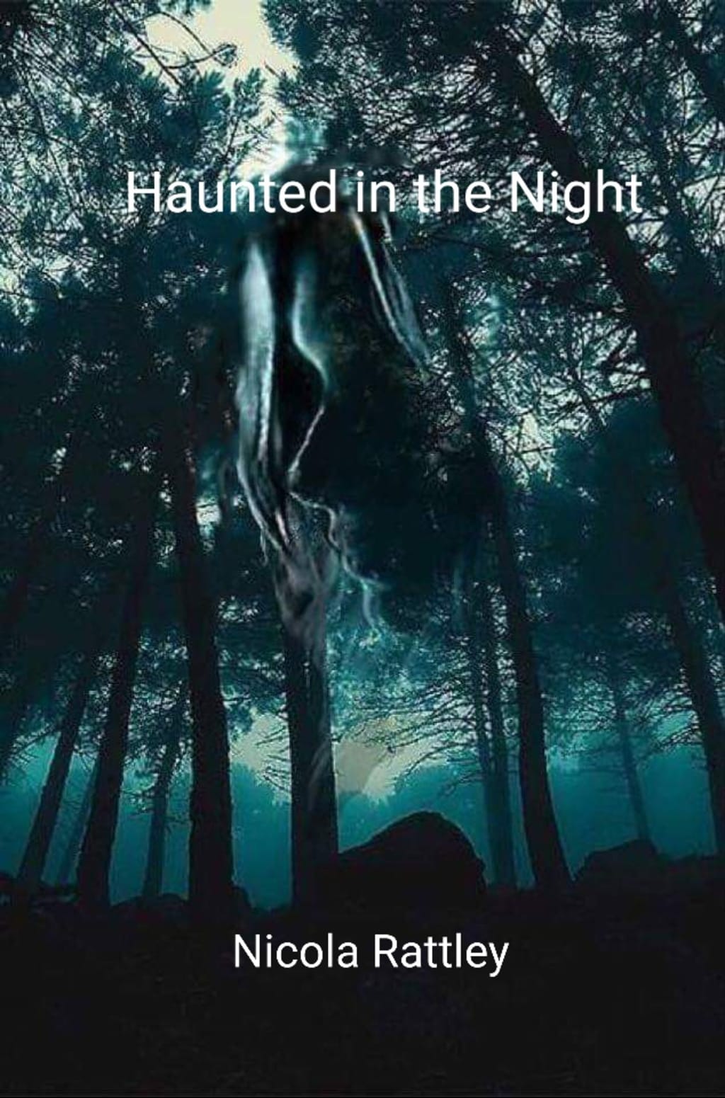 Haunted in the Night Haunted in the Night