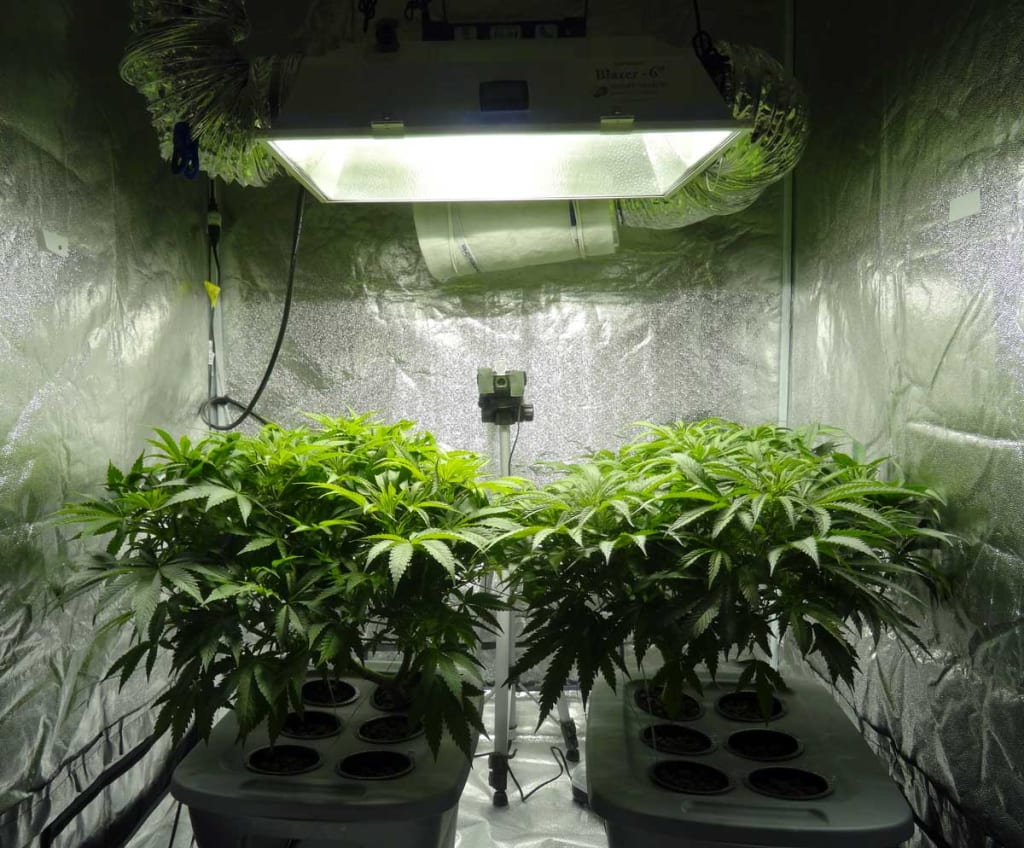 Marijuana: Good or Bad? Marijuana: Good or Bad?