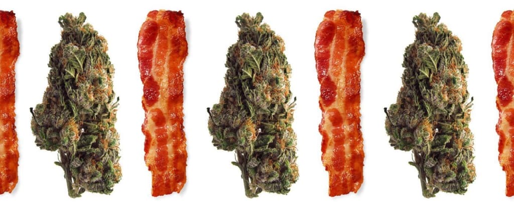 How to Make Bacon Infused Cannabis How to Make Bacon Infused Cannabis