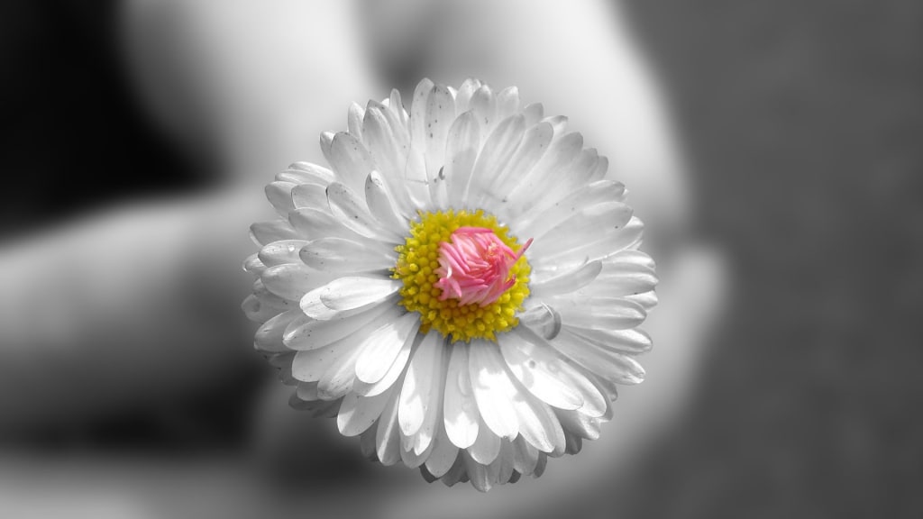 Manifesting a Passing Thought Manifesting a Passing Thought