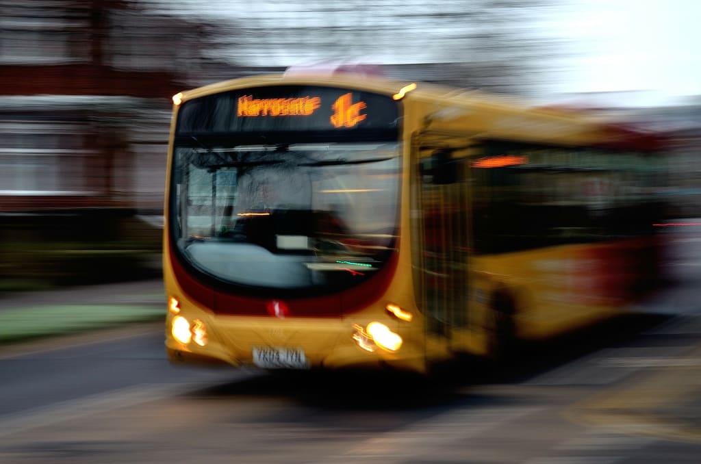 Buses Buses