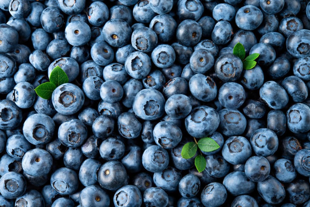 10 Healthy Blueberry Recipes You Must Try 10 Healthy Blueberry Recipes You Must Try