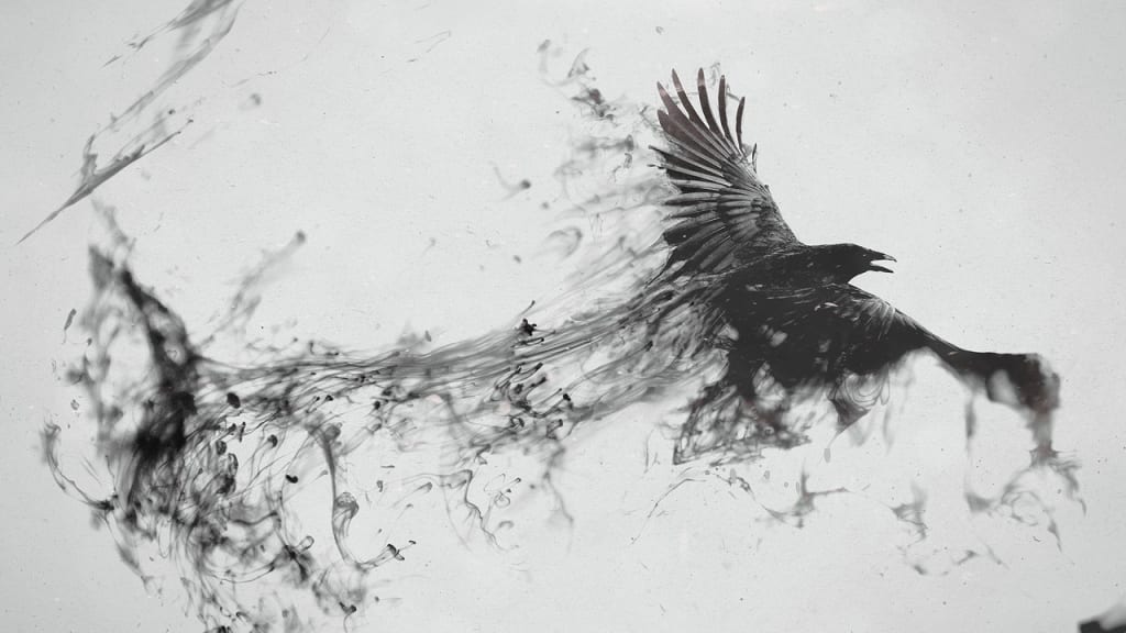 Fly Fly