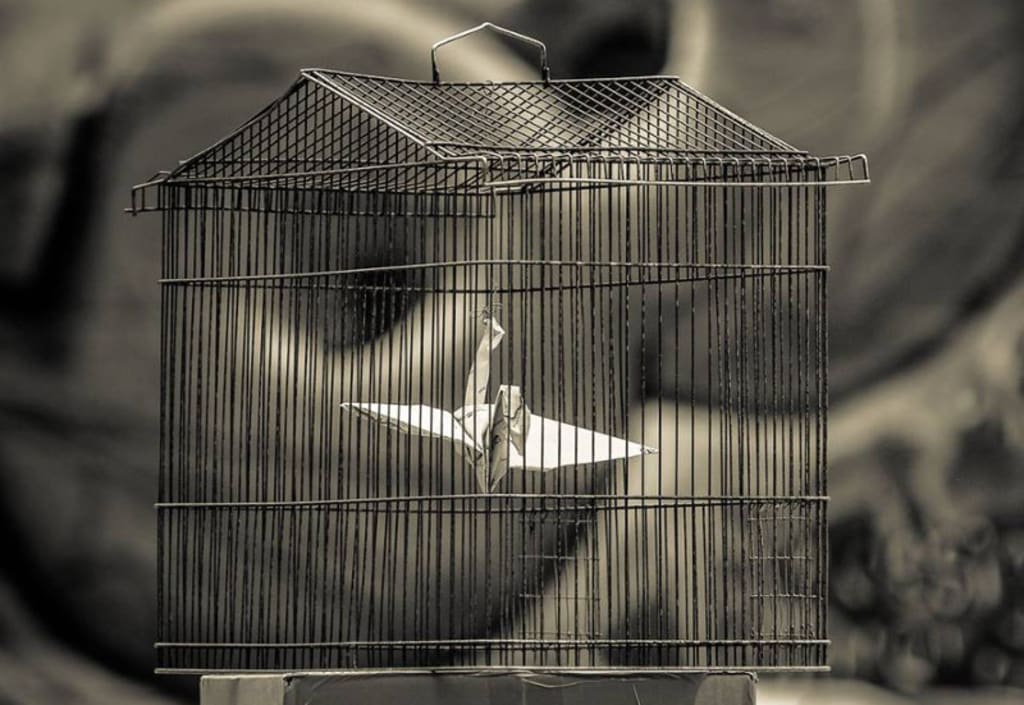 Caged Caged