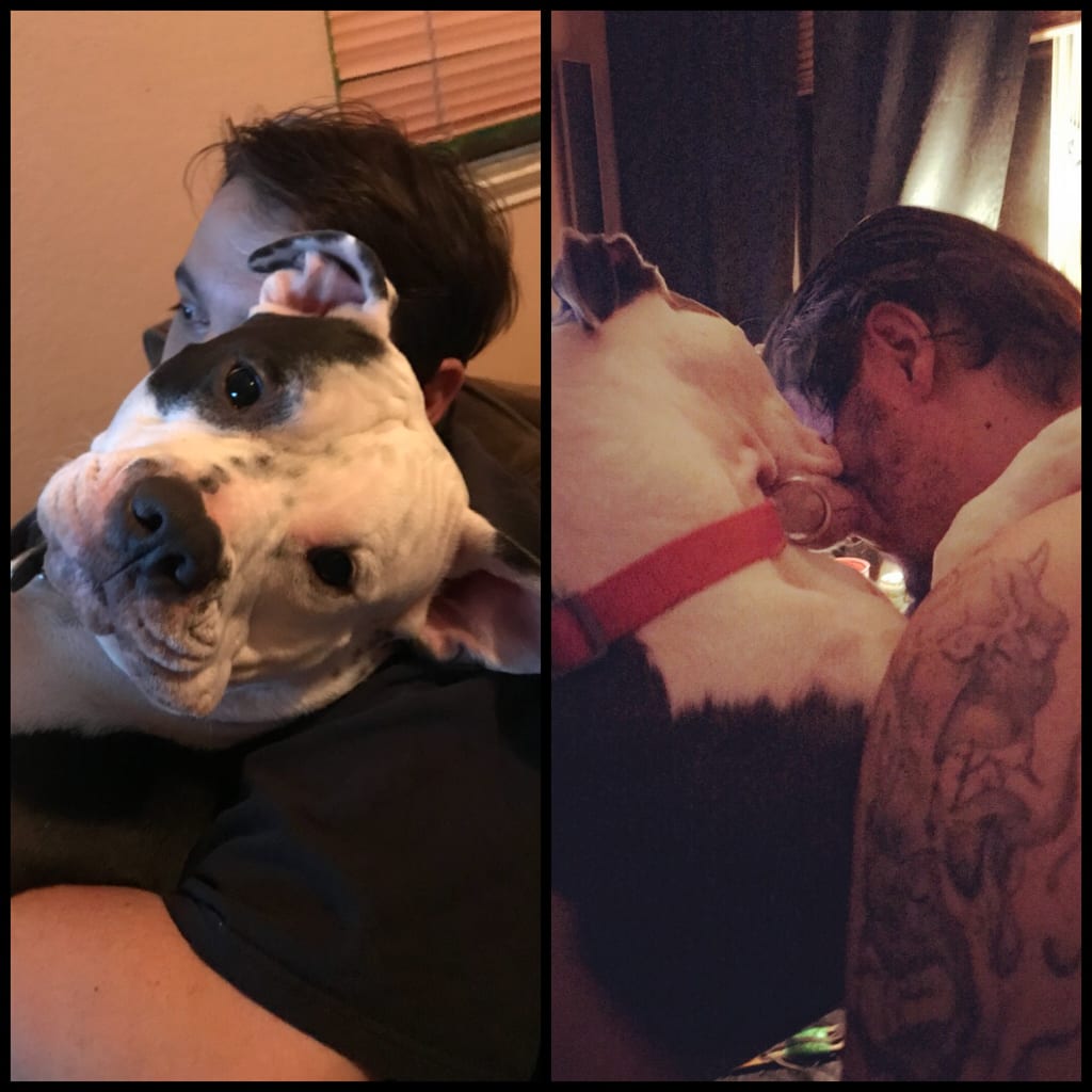 Living with Rescues Living with Rescues