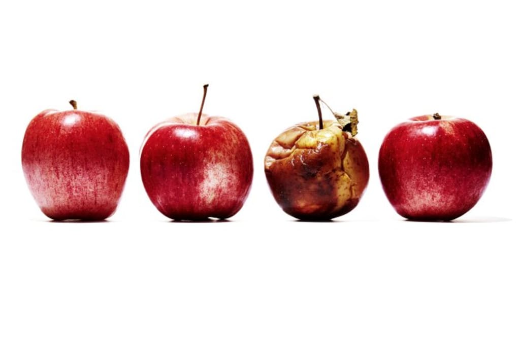 Rotten Apple Rotten Apple