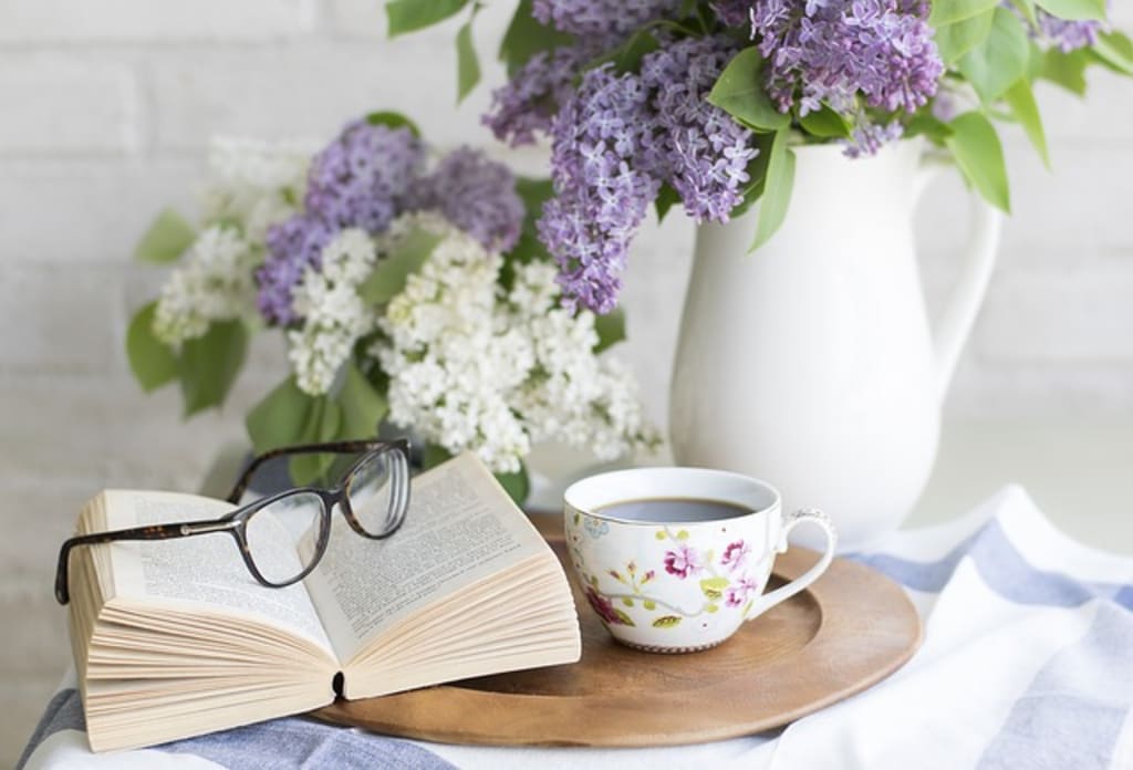12 Books for Women to Read 12 Books for Women to Read