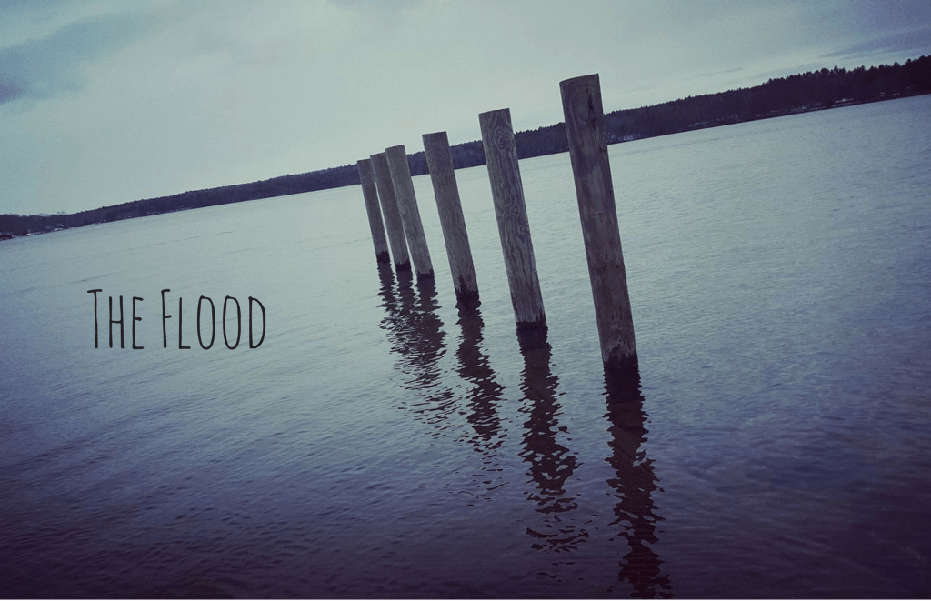 The Flood The Flood