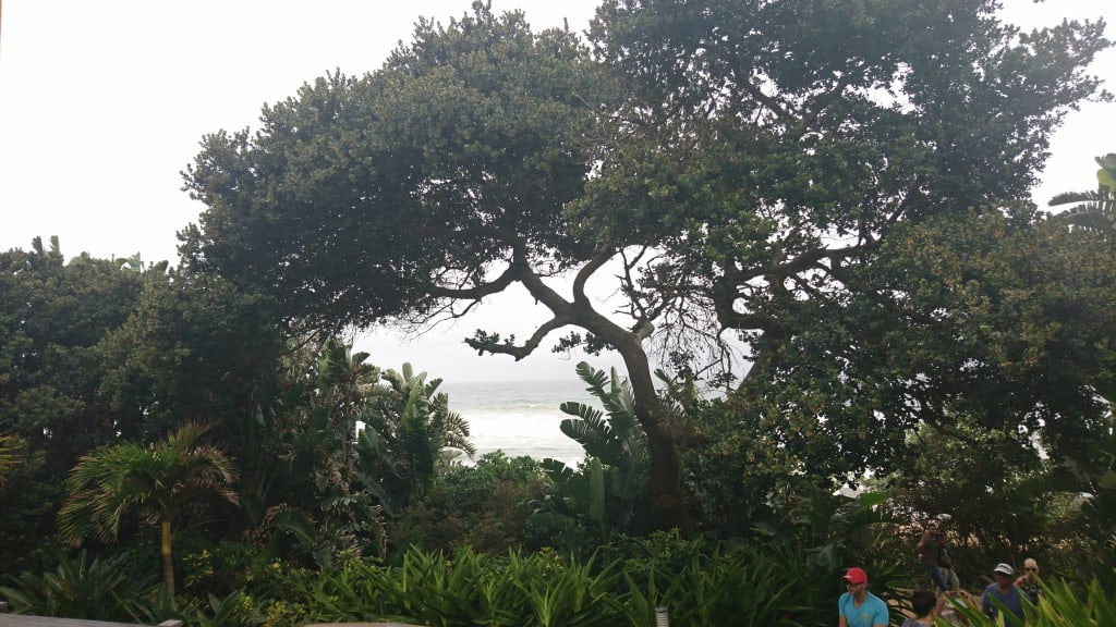 I Wonder What the Trees Talk About I Wonder What the Trees Talk About