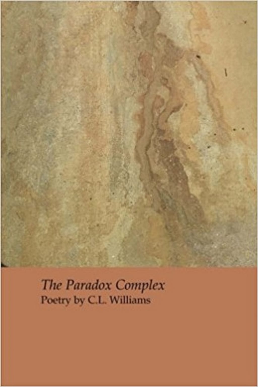 In Review: 'The Paradox Complex' by C. L. Williams In Review: 'The Paradox Complex' by C. L. Williams