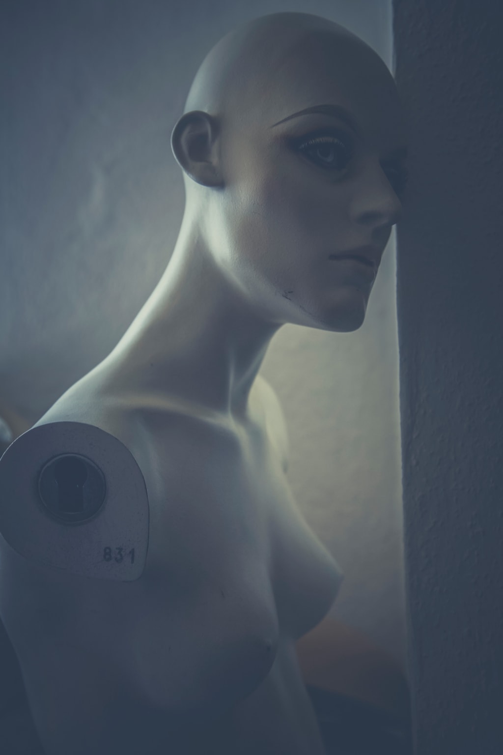 A Mannequin Fetish (Pt. 4) A Mannequin Fetish (Pt. 4)