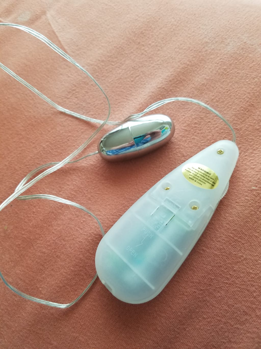 The Bullet or The Egg The Bullet or The Egg