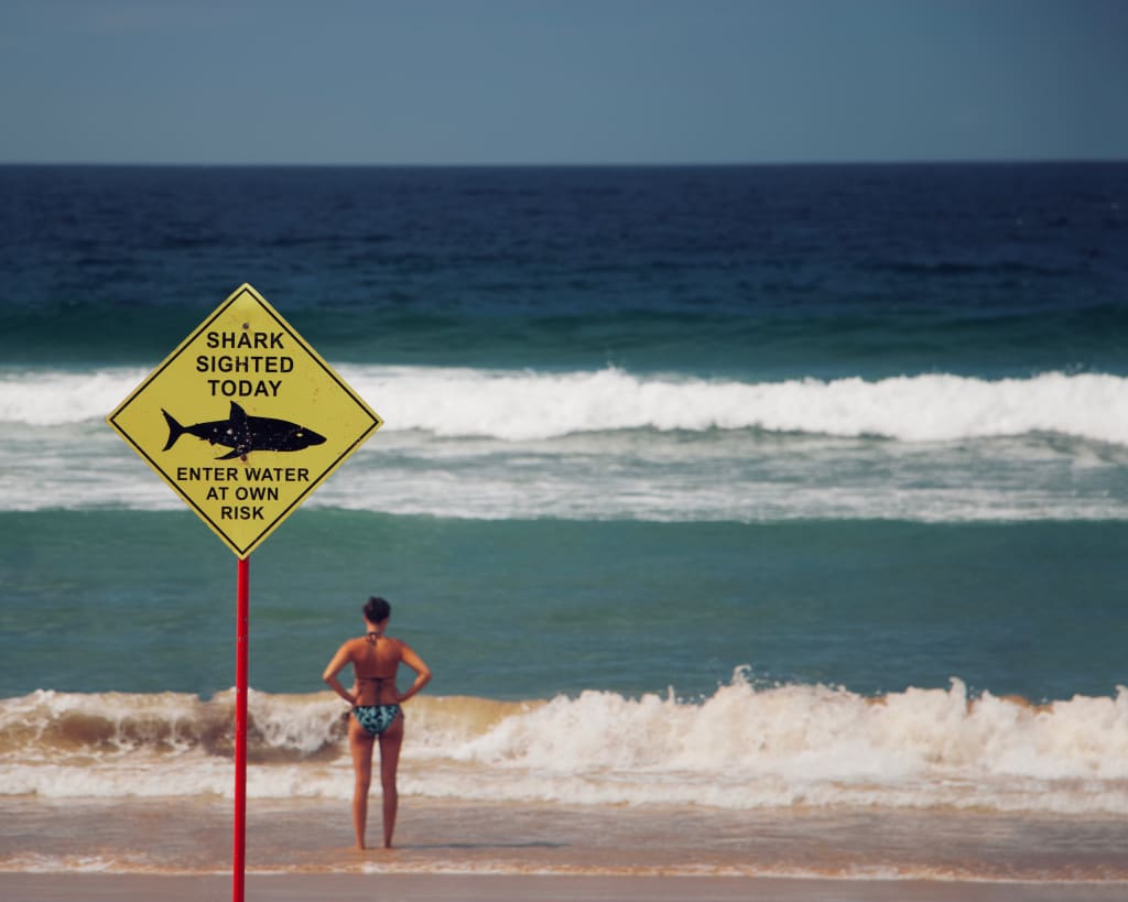 Beware the Phone Sharks! Beware the Phone Sharks!