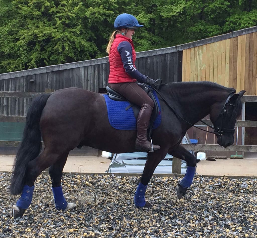 Bryn's Diary May 6, 2019 Bryn's Diary May 6, 2019