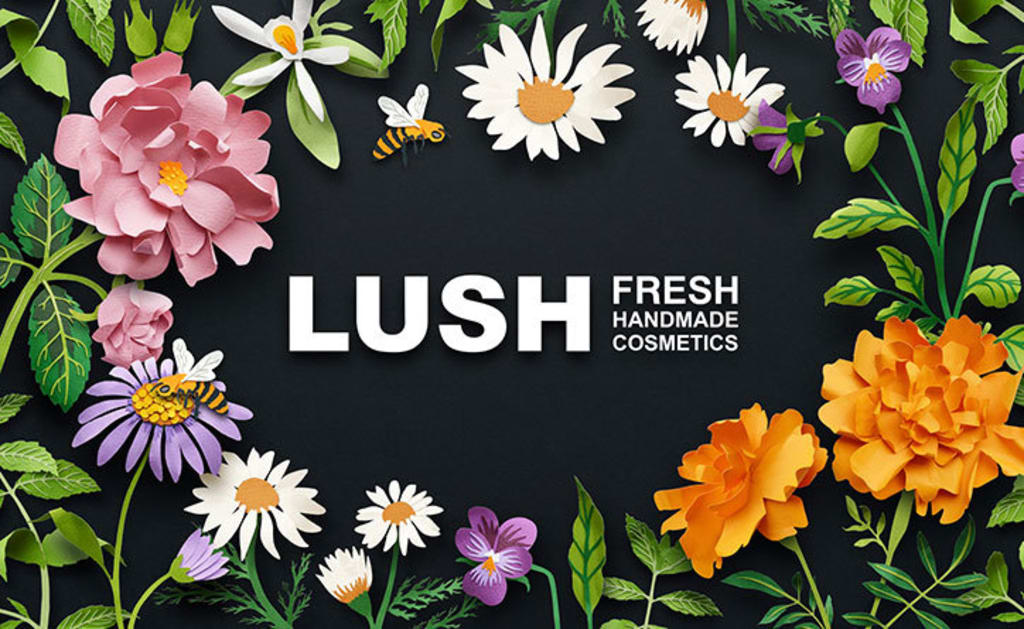 5 Lush Products That Will Change Your Beauty Routine 5 Lush Products That Will Change Your Beauty Routine