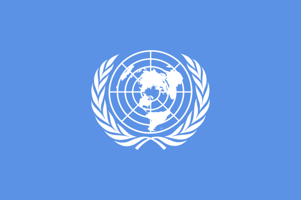 Dear United Nations Dear United Nations