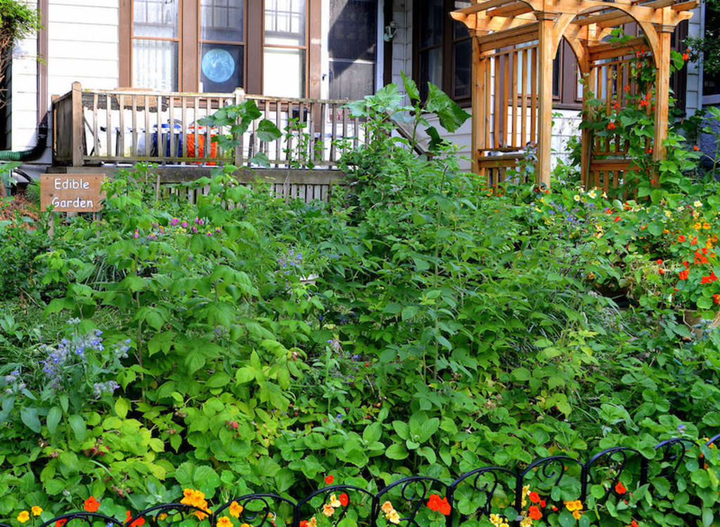 Growing a Food-Based Economy Growing a Food-Based Economy
