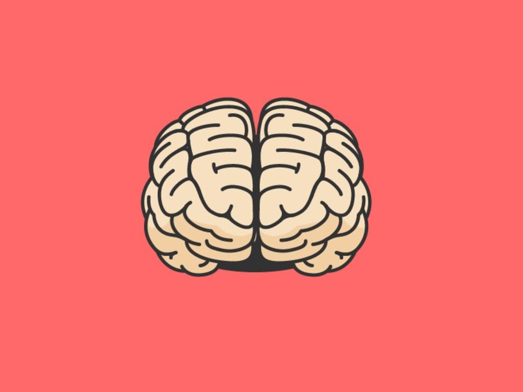 My Brain: "The Risk Taker" My Brain: "The Risk Taker"