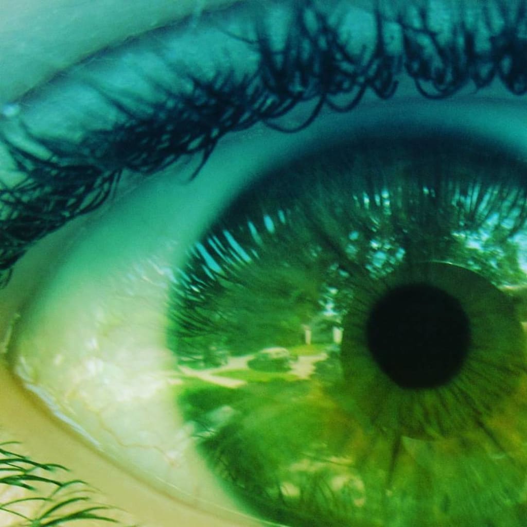 Beauty Is In the Eye of the Beholder Beauty Is In the Eye of the Beholder