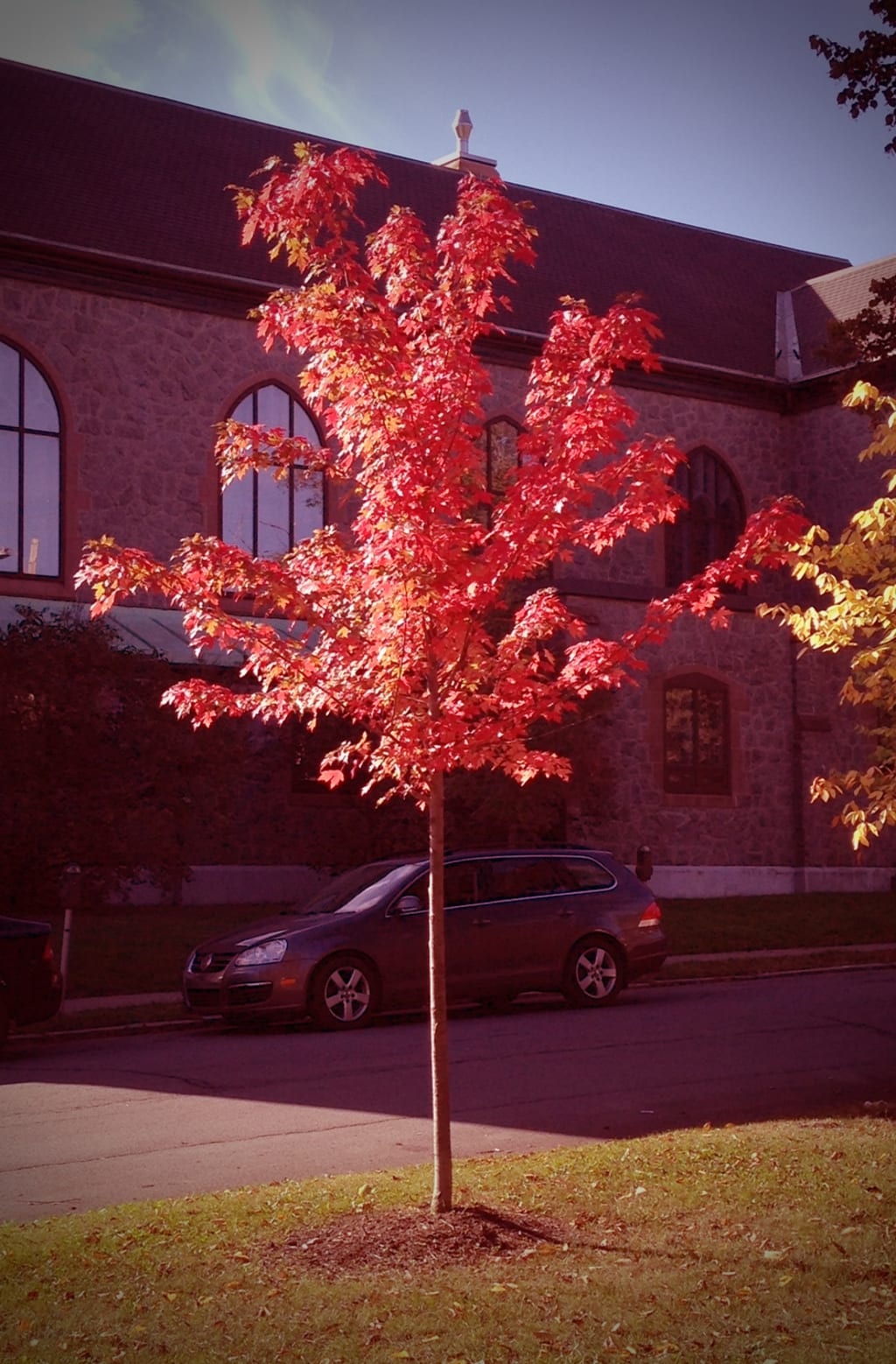 Autumn Haiku Autumn Haiku