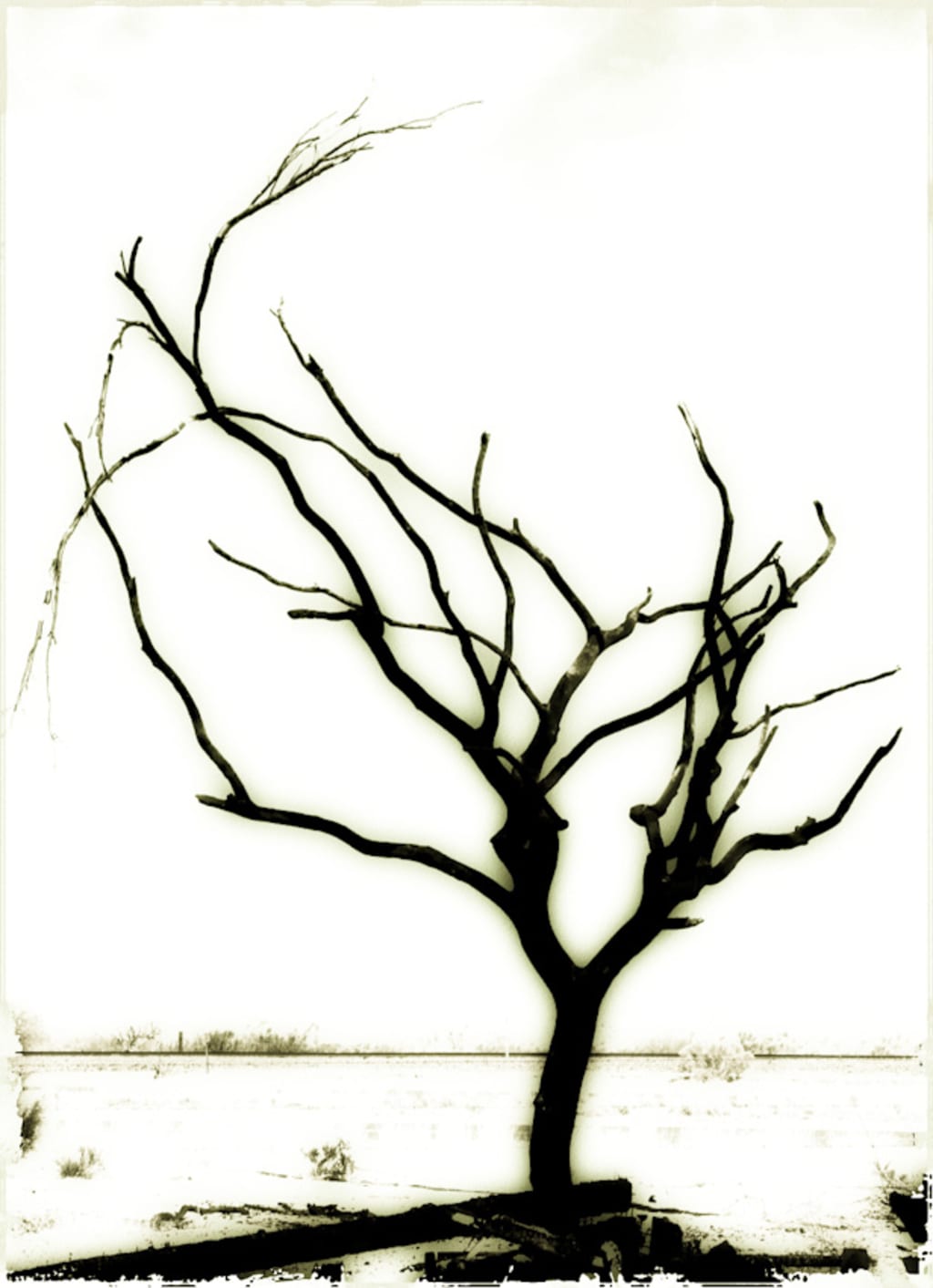 On Choice and Its Nature On Choice and Its Nature