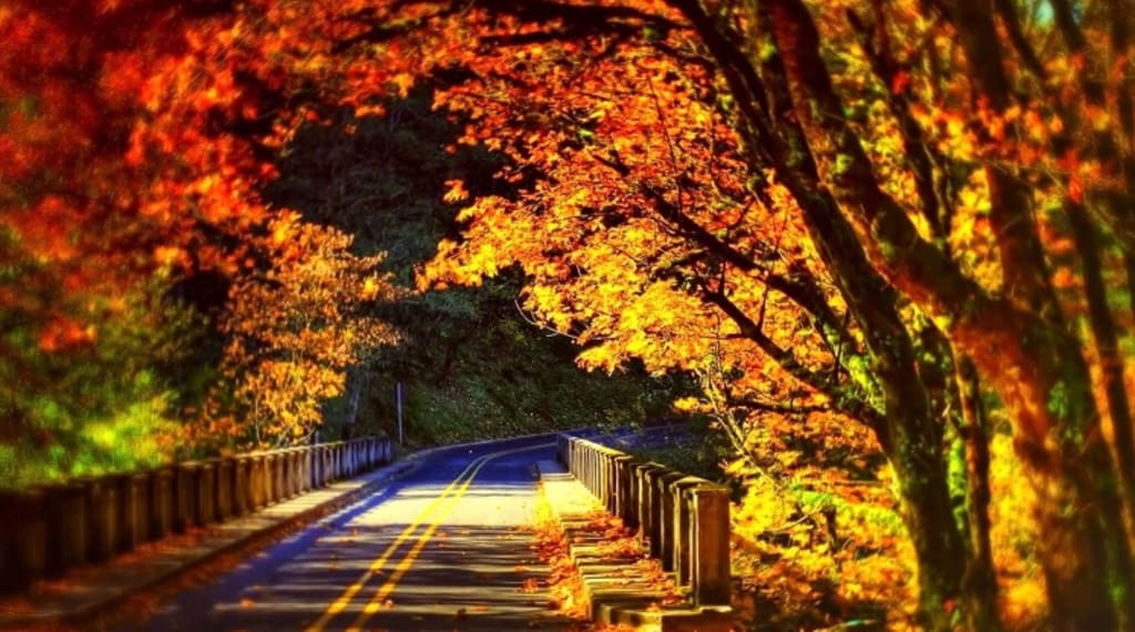 Autumn Autumn