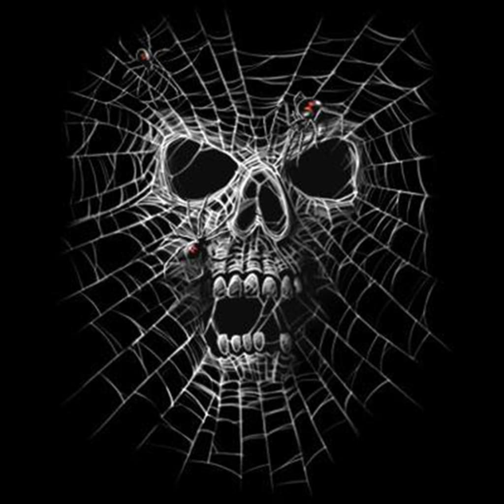 The Web The Web