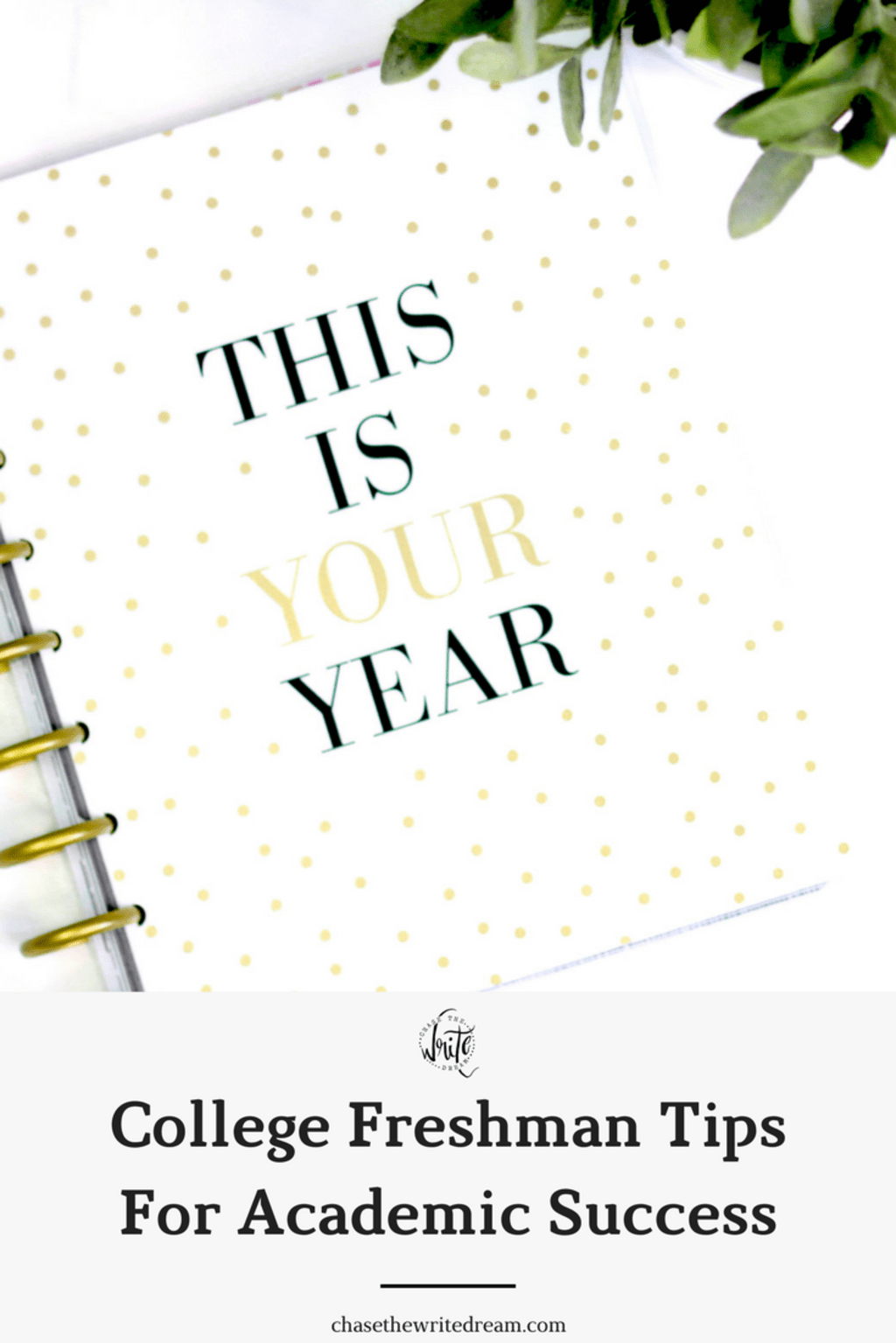 Entering College? Feeling Terrified. Here Are My Top 5 Tips on How to Start Off Great! Entering College? Feeling Terrified. Here Are My Top 5 Tips on How to Start Off Great!