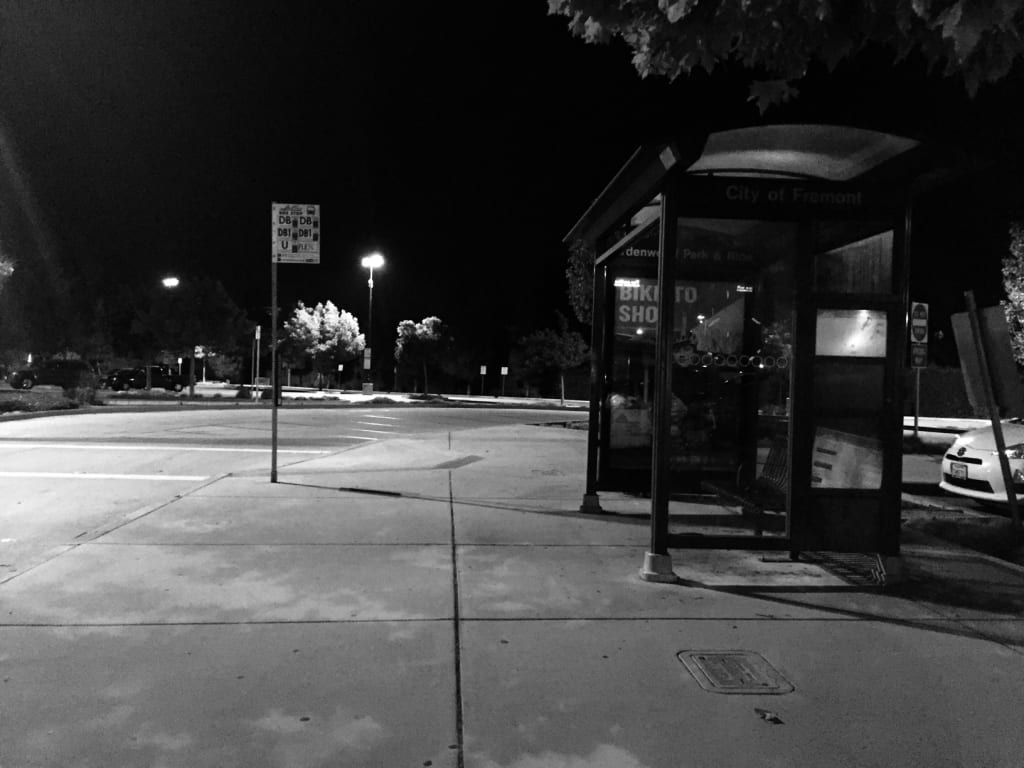 The Night Bus The Night Bus