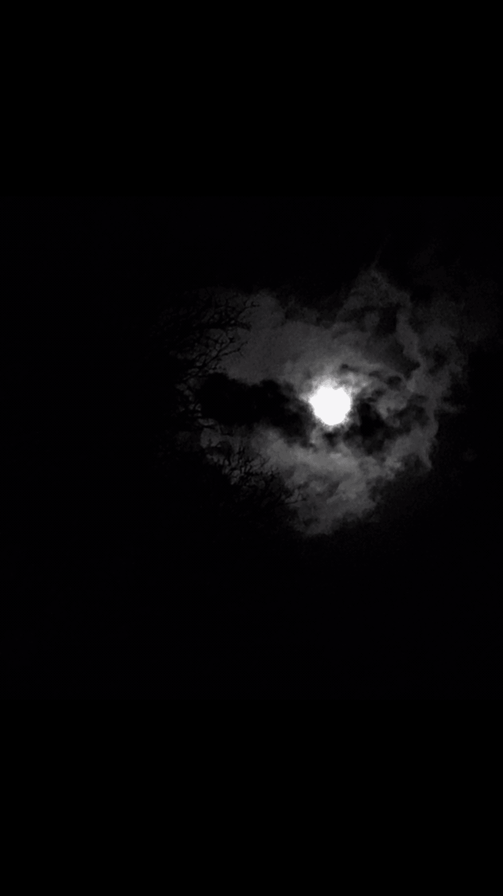 To the Moon To the Moon