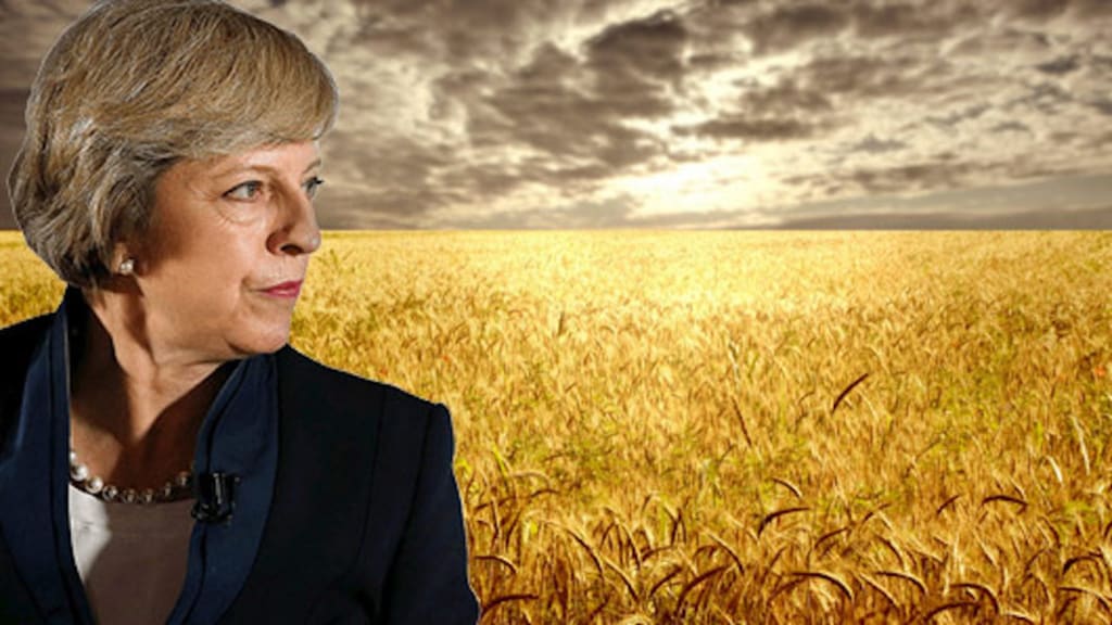In the Land of Naughty Wheat Fields and Broken Promises In the Land of Naughty Wheat Fields and Broken Promises