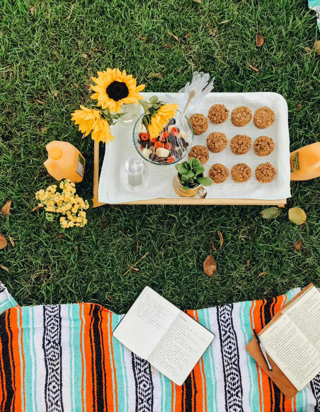 How to Plan a Picnic for Your Kids How to Plan a Picnic for Your Kids