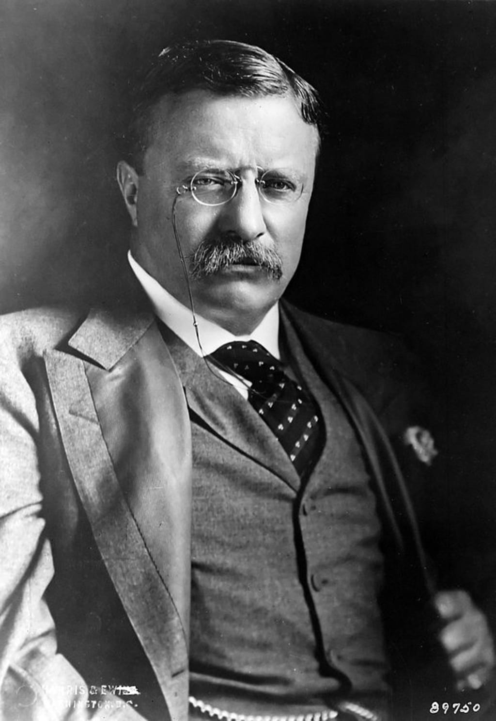 How to Build Teddy Roosevelt in 'The Pathfinder RPG' How to Build Teddy Roosevelt in 'The Pathfinder RPG'