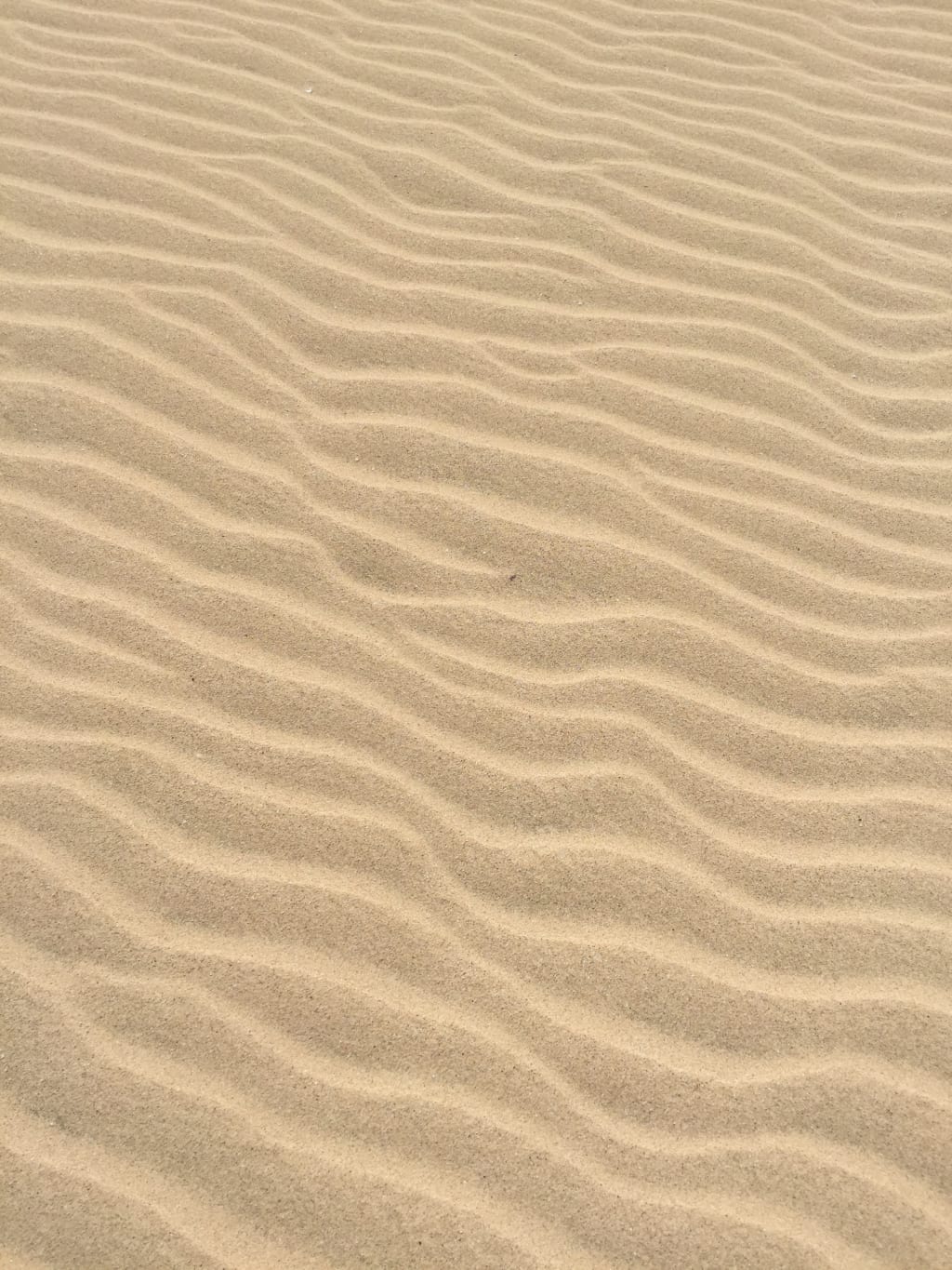 Living with Sand Living with Sand