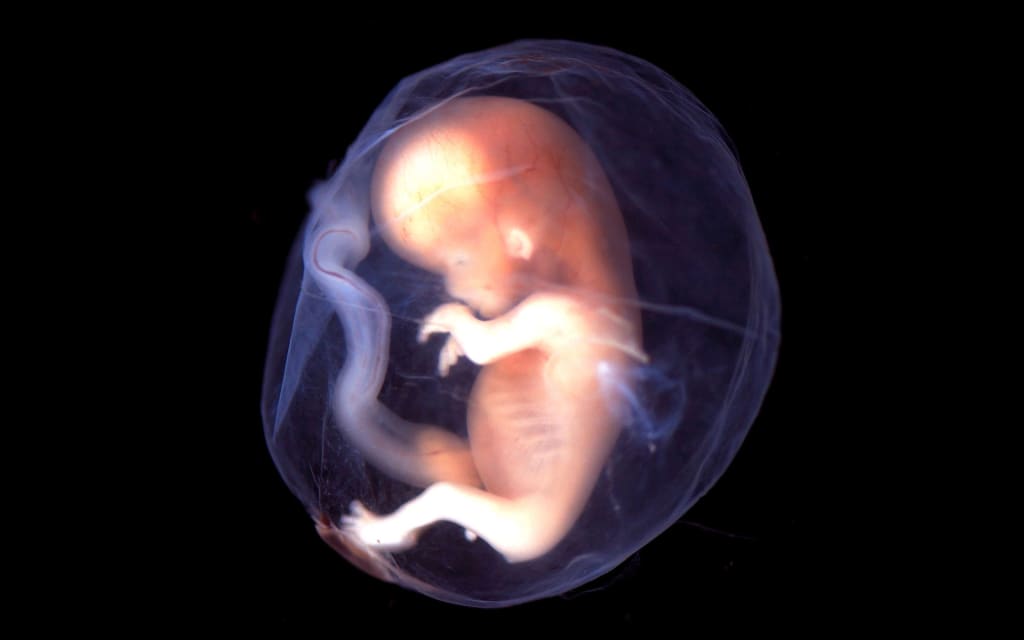 What Are Pre-Birth Experiences? What Are Pre-Birth Experiences?